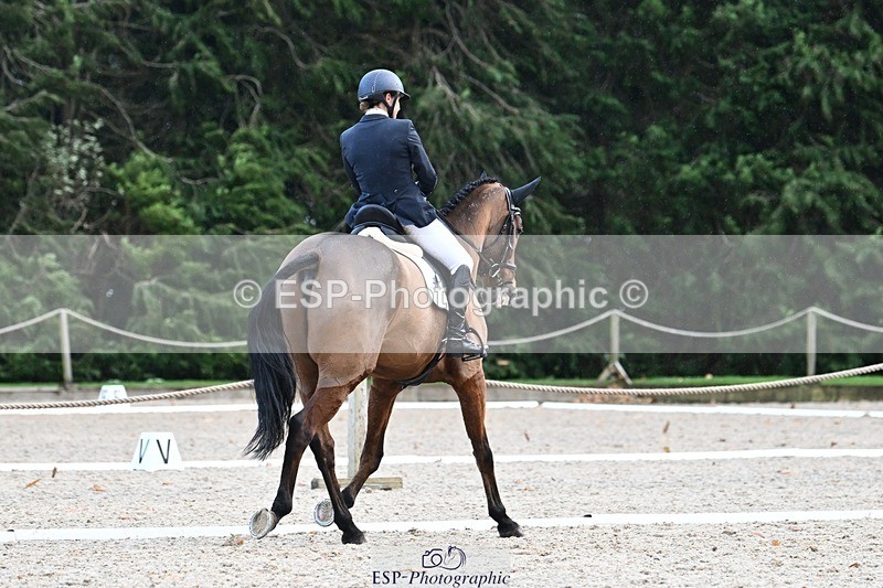 231110-143224-01952 - Cls 8 Medium 75Q