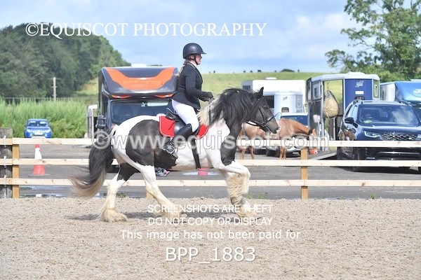 BPP_1883 - DERBY CLASS 5 - 60CM