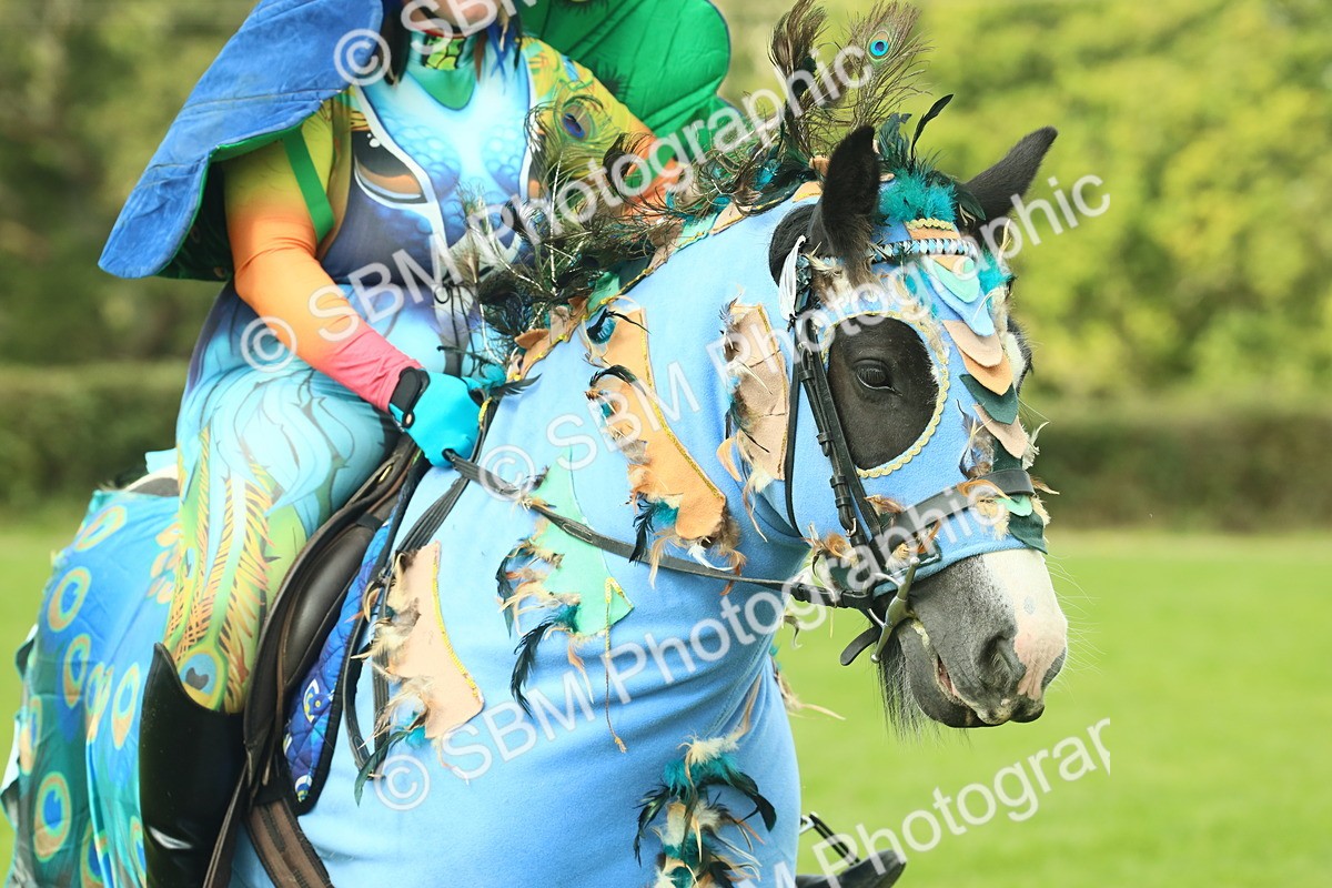 SBM_63621 - S35 - Fancy Dress Showing