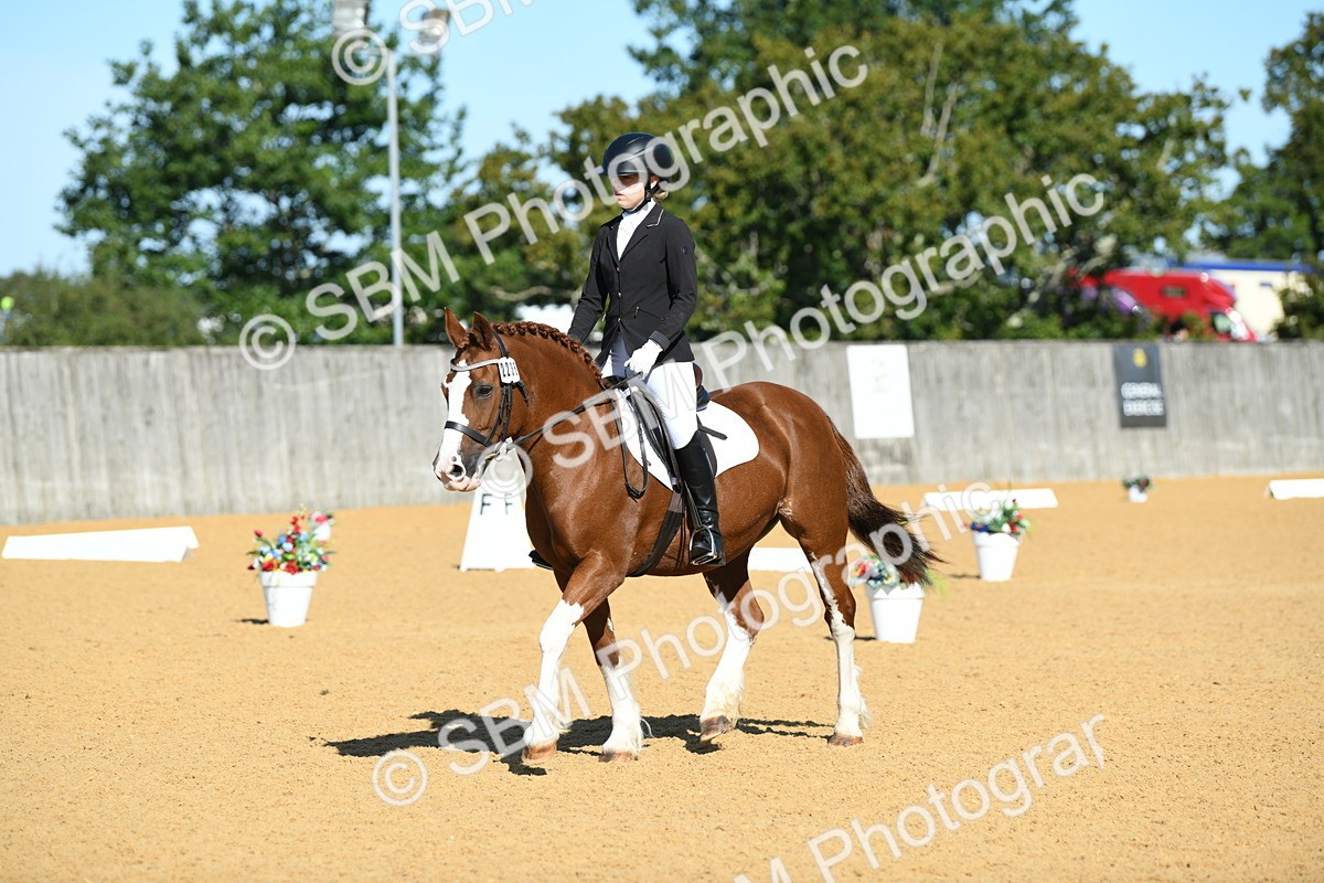 SBM_18025 - D4 - Small Tour Championship - Intro B