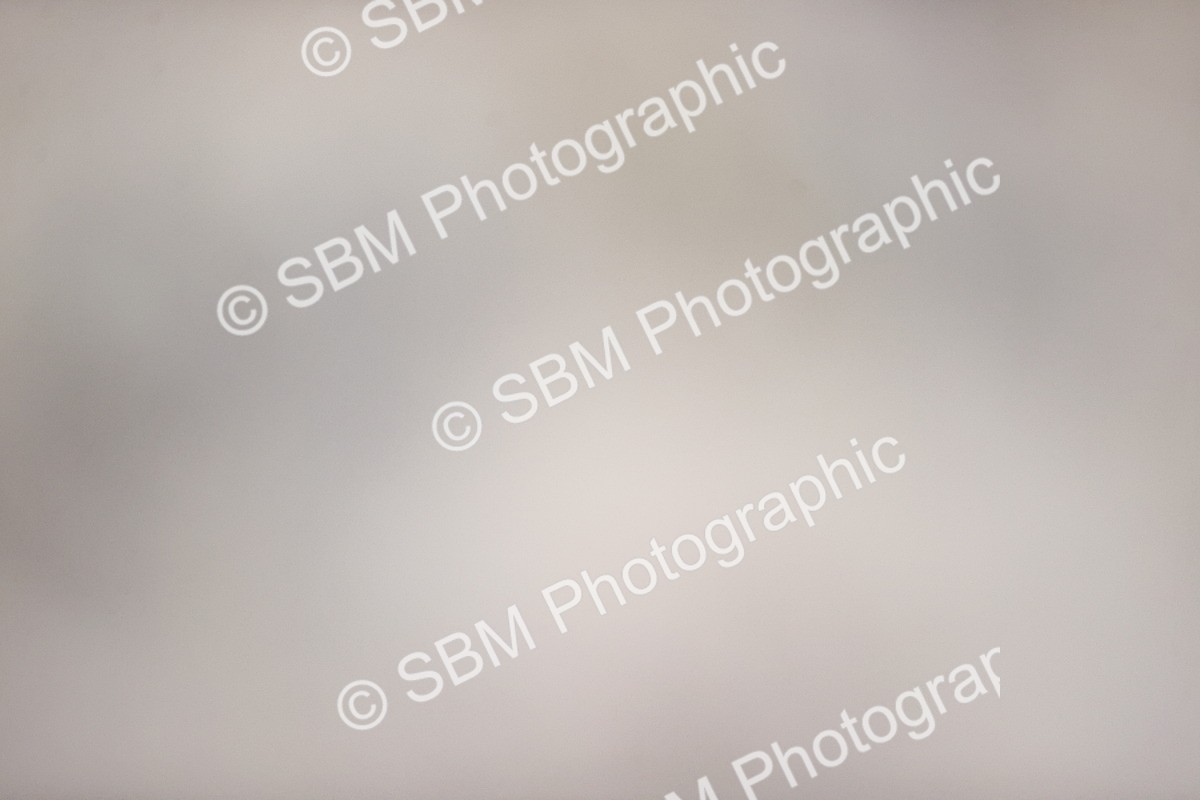 SBM_004223 - SJ - 90cm
