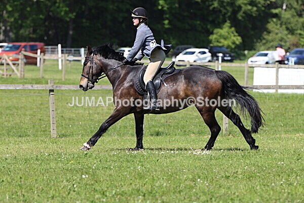IMG_4537 - Working Hunter