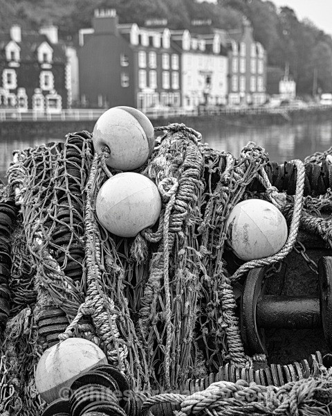 Isle of Mull - Scotland: Black and White