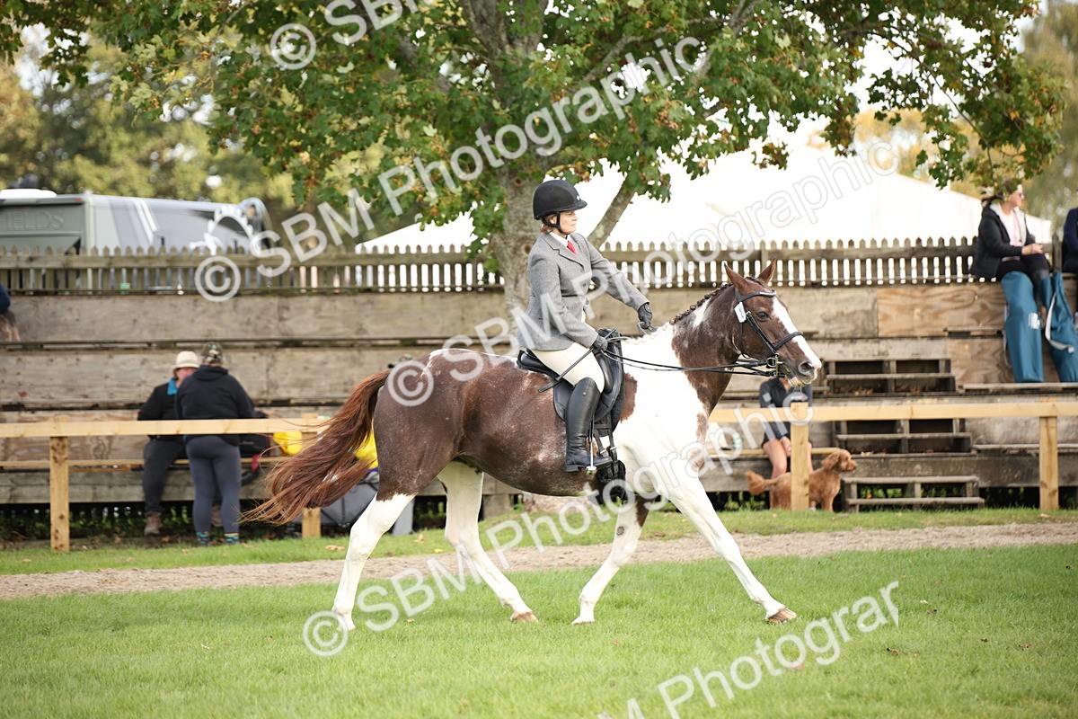 SBM_50189 - S26 - Young Veteran - Ridden
