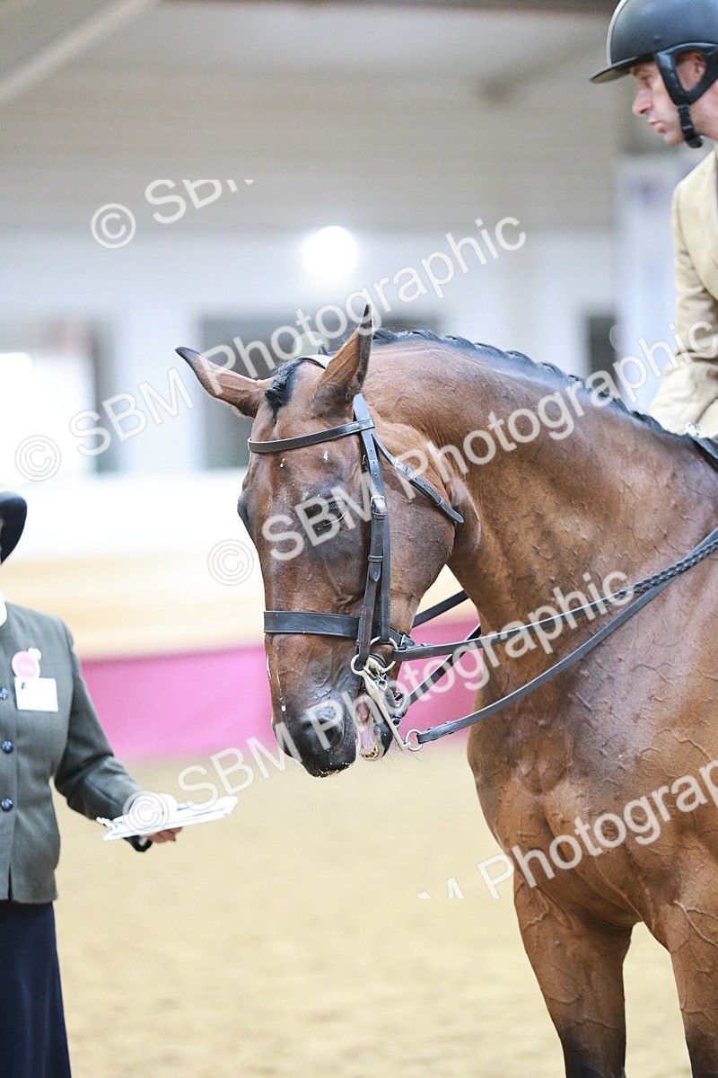 SBM_08864 - Class 12R - Regional Ridden Pre-Vet