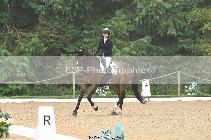 240811-094032-04827 - 119-Alice.Kneen-Dazzling.Springtime