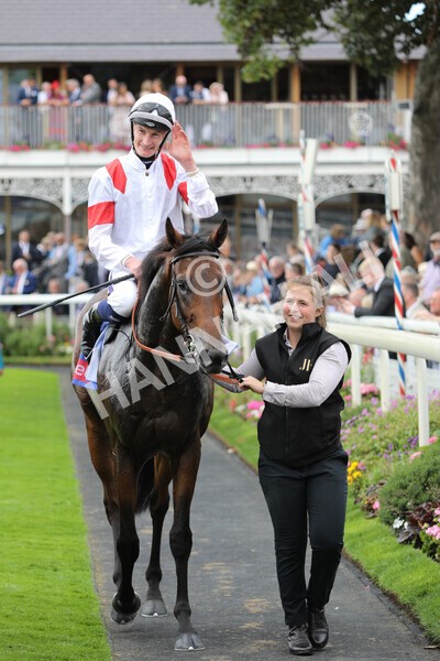 yr17082022r3-58 - Race 3 3.00pm Sky Bet Great Voltigeur Stakes