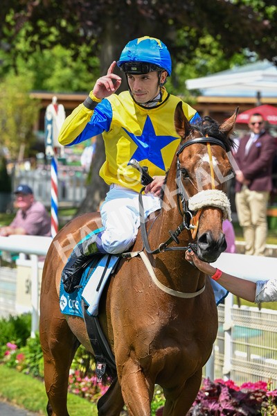 130625-Race 1-Feel The Need-8435 - Race 1 1.50pm Andy Thornton Hospitality Furniture Apprentice Handicap