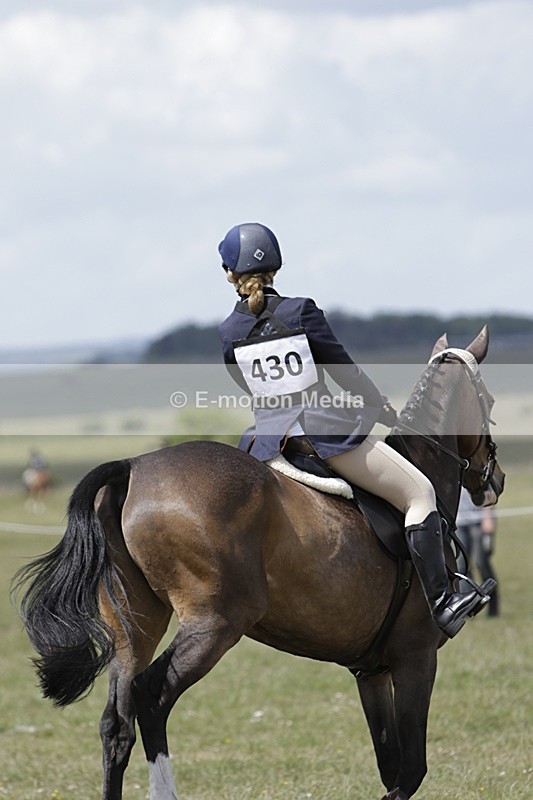 BVHT 140517 N-236 - Class 2 SJ Novice 14/05/17