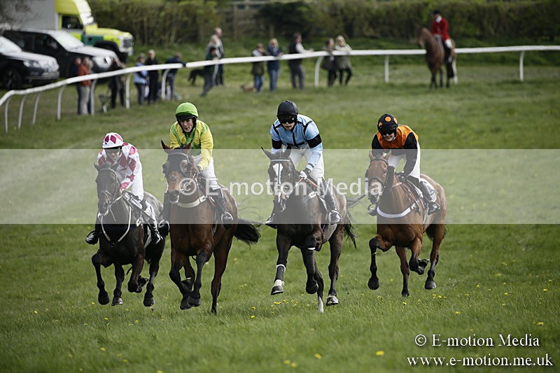 PtP 170417 314 - Old Berks Point-to-Point Lockinge 17/04/17