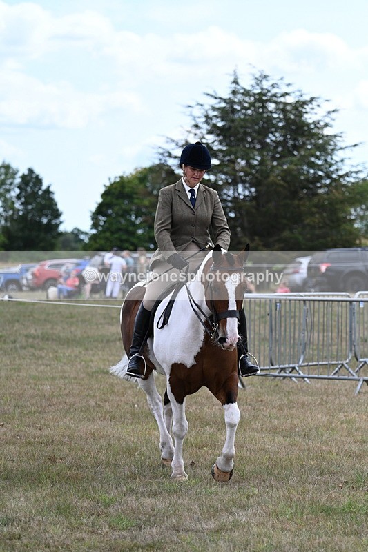 WJ7_5181 - Class 12 Ridden Cob