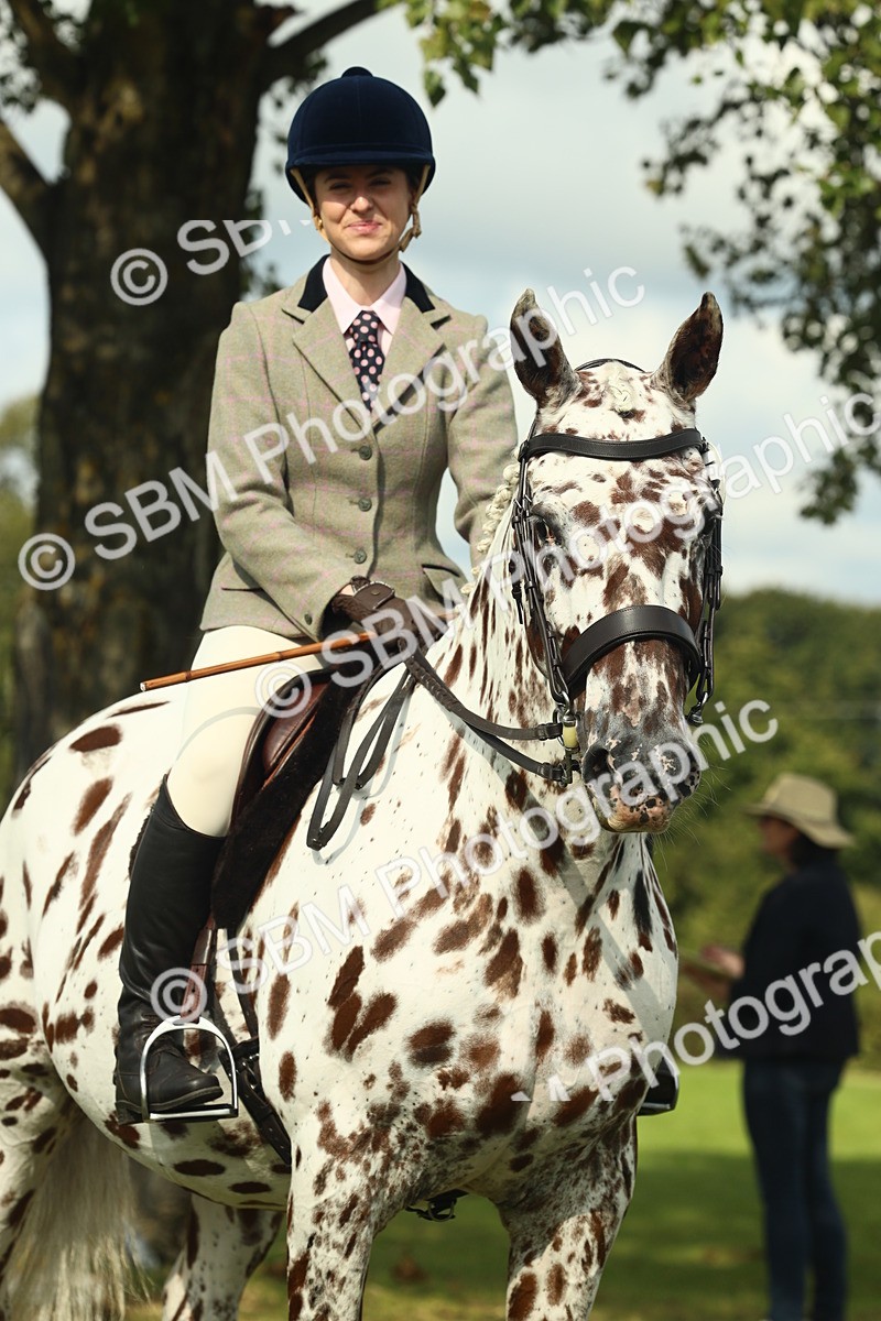 SBM_62513 - S62 - Foreign Breeds Ridden
