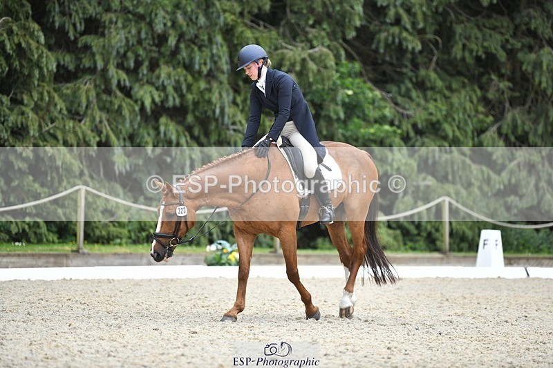 230525-144654-03182 - 323-CHESTNUT_BOBBY-Molly_Fletcher-WEDTrotUp+DR