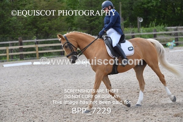 BPP_7229 - 3 D HARRISON