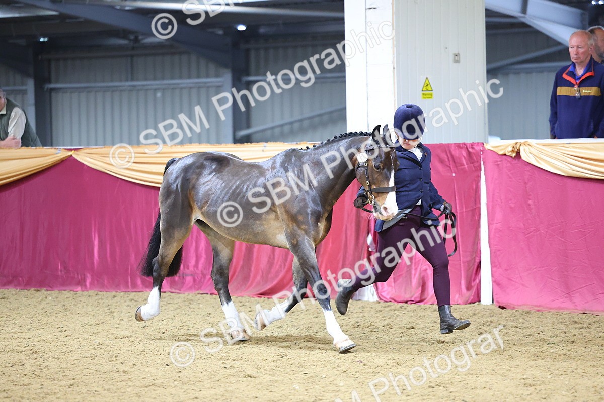 SBM_19430 - Class 901 - Supreme Final - IH Diamond