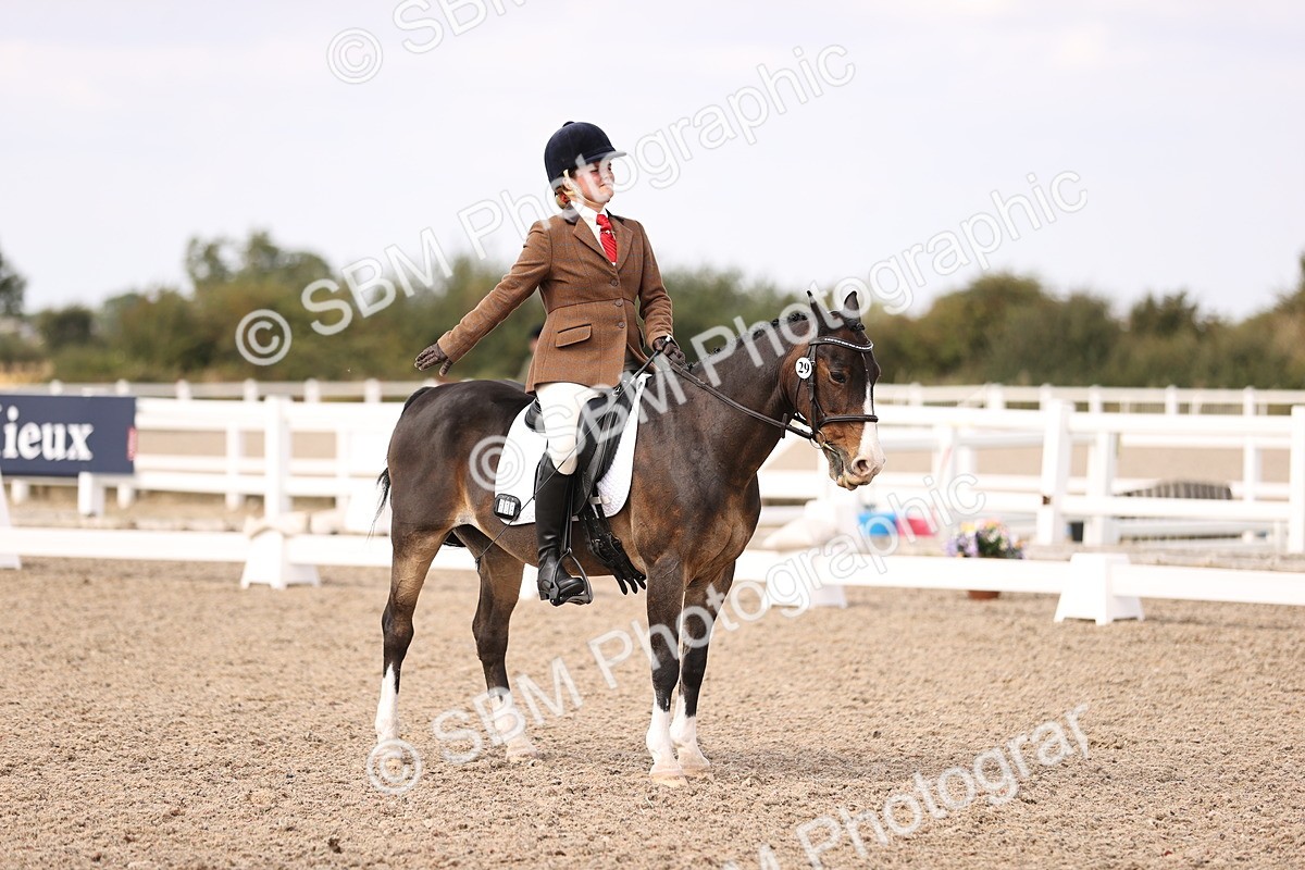 SBM_06077 - Class 37 Novice 5
