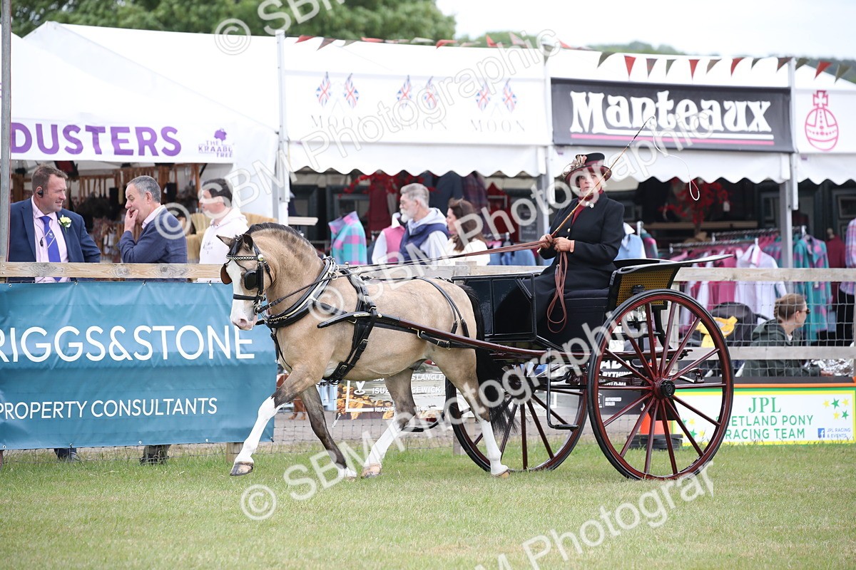SBM_05859 - Class 12-15 - HOYS Private Driving