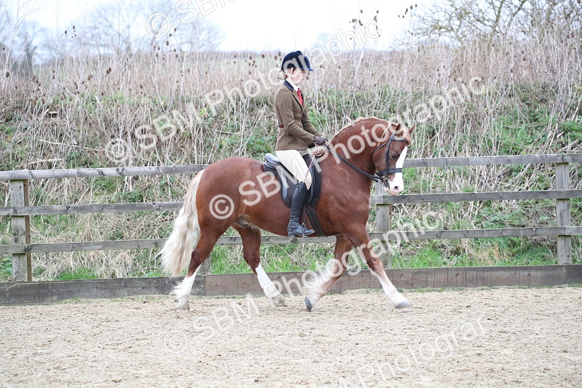 SBM_006308 - Class 10-13 - RIHS Small Large Breeds