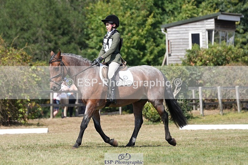 250823A-133247-31214 - Arena A