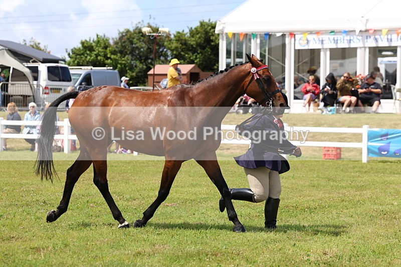 3E7A1145 - Class 8: Open Riding Horse/Hack