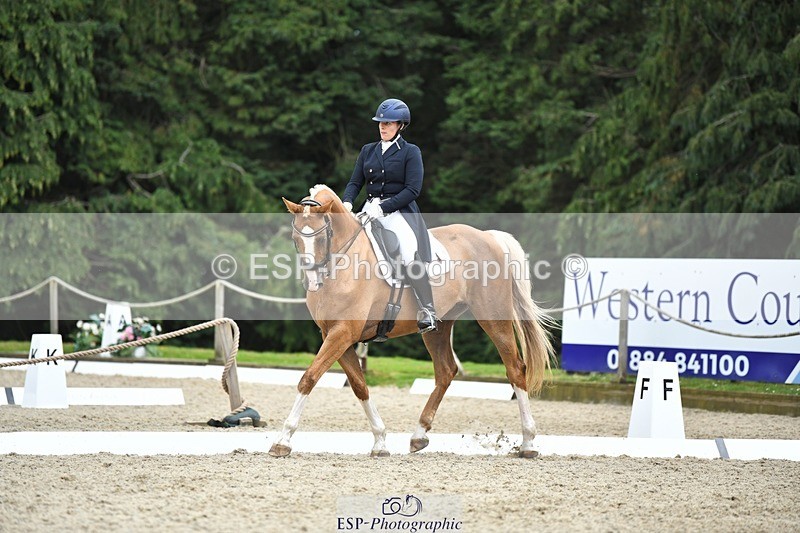 230812-144004-04762 - Cls 7 FEI PSG Bronze