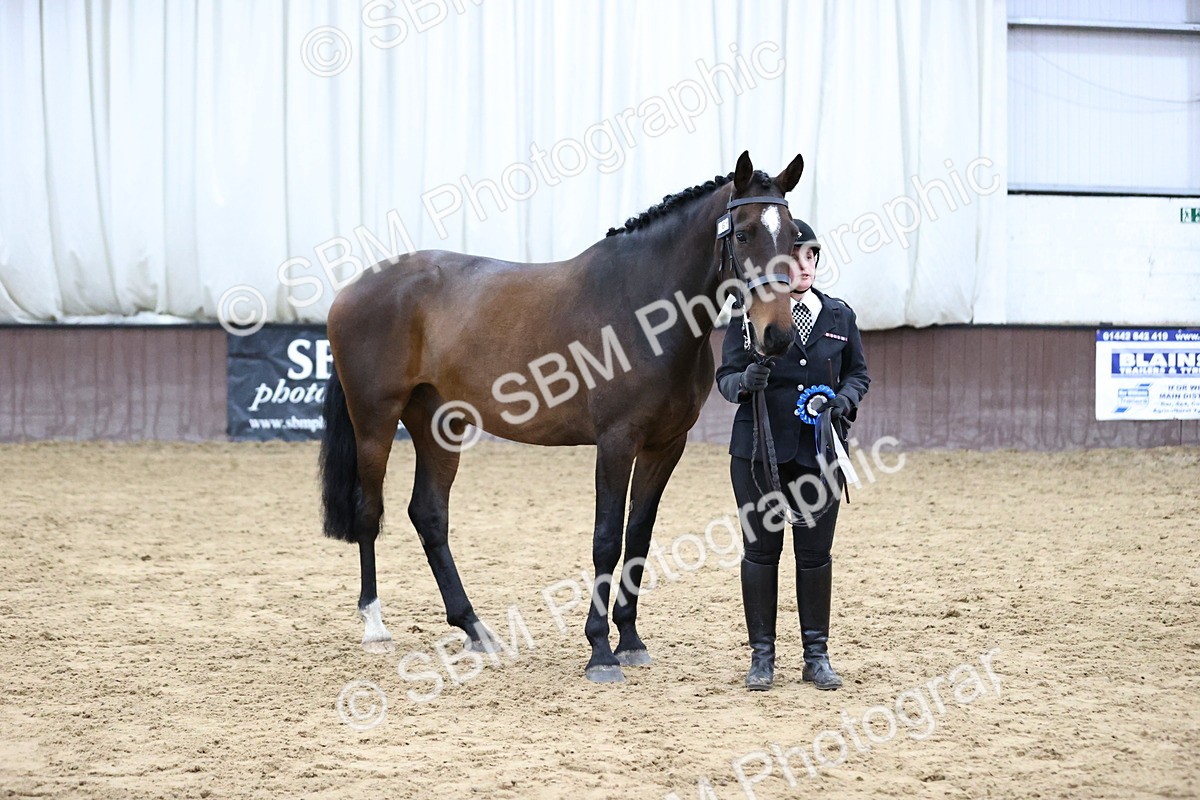 SBM_5782 - Class 3 - BSHA In Hand Show Hunter