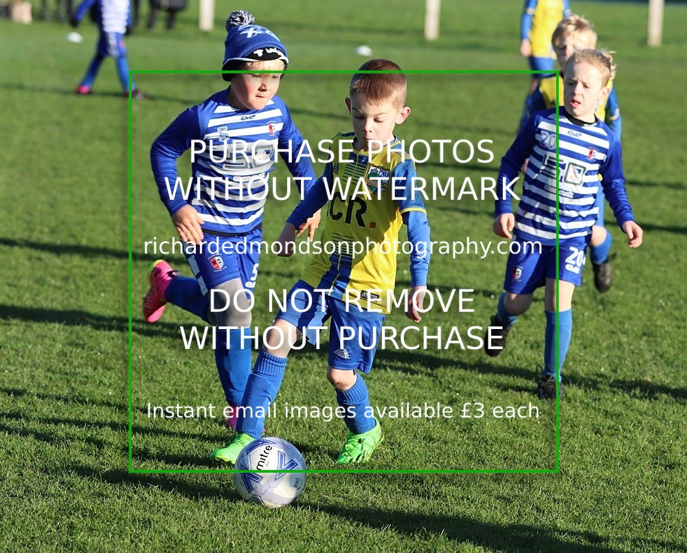 IMG_3875 - Kendal Utd Colts U7 vs Ambleside U7's (11/11/23)