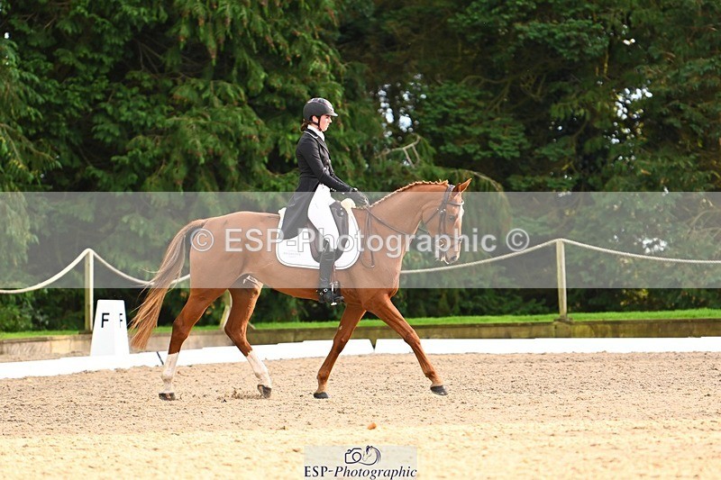 231021-161752-21081 - 265-EG.TIGER.CHILLI-Tayla.Mason-DR