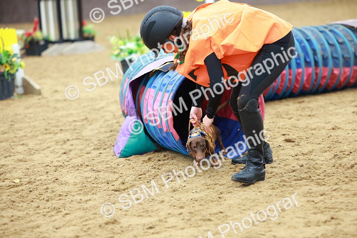 SBM_002209 - Class 3 - Horse & Hound (60cm)