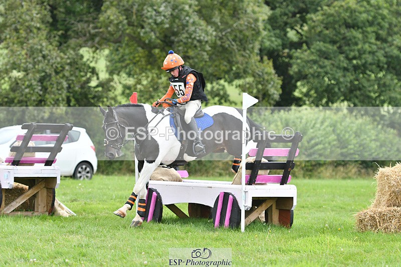 240804-144242-15109 - 555-Jack_Wish-WESTERLAKE_BUTTONWEED