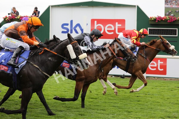 yr23072022r2-30 - Race 2 2.40pm Sky Bet Dash