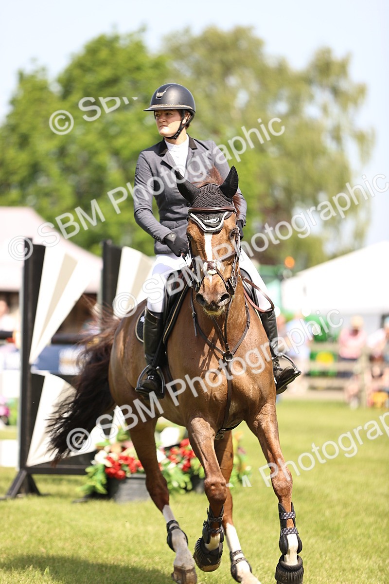 SBM_03183 - Class 201 - British Horse Feedds Speedi Beet HOYS Grade C