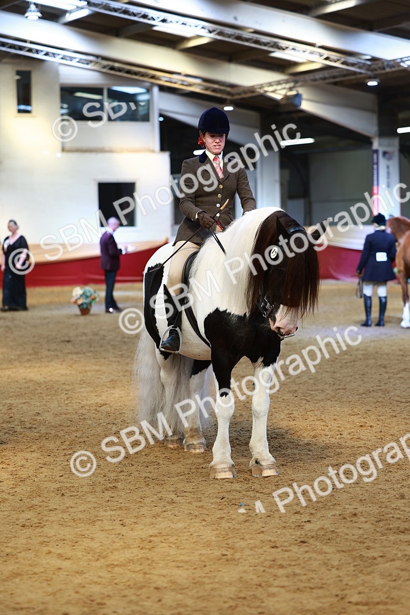 SBM_23477 - class 906 - Supreme Final - Ridden Pre Vet