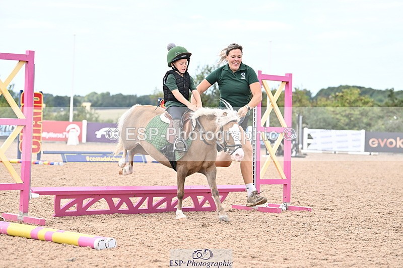 250821B-121039-00331 - Group D - Thomasina