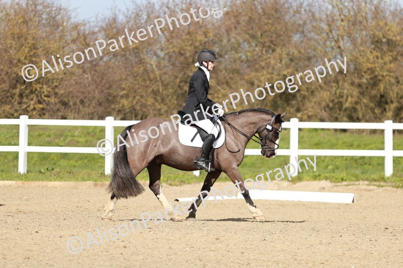 20260314-2947 - DR3 - Prelim 1