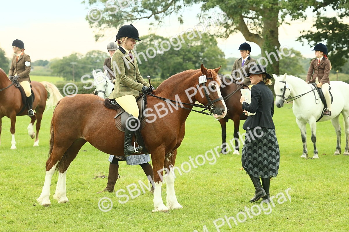 SBM_72107 - S60 - Mountain & Moorland Ridden Large Breeds