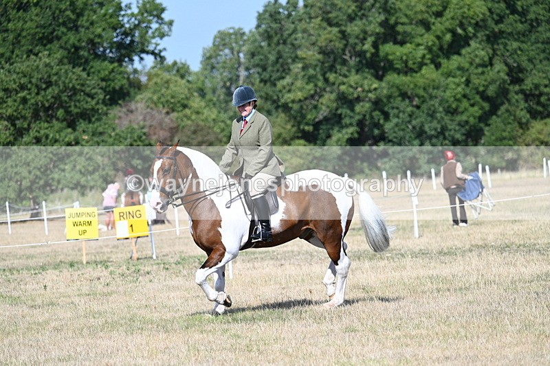 WJ7_2856 - Class 8 Ridden Tack & Turnout