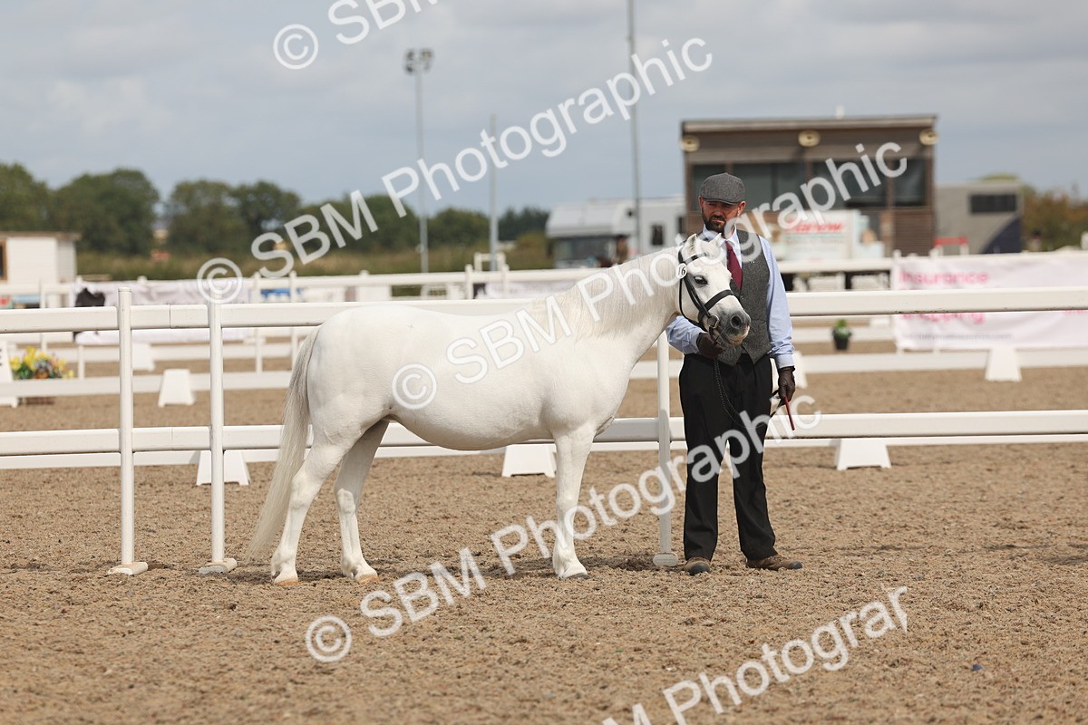 SBM_04932 - Class 20 - IH Veteran