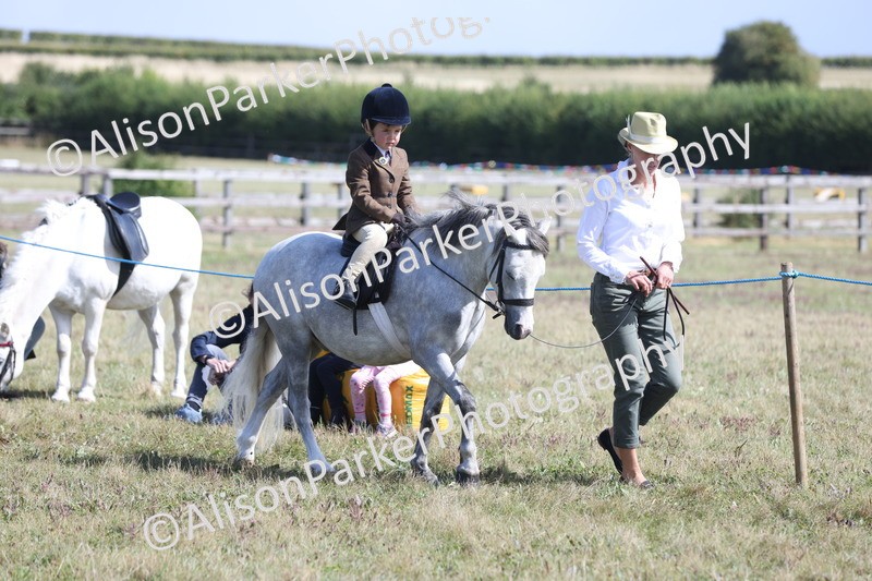 20250831-2597 - Class 17 - Lead Rein Pony