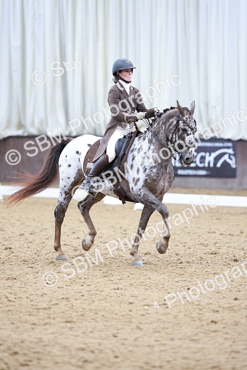 SBM_021405 - Class 14 - FEI Grand Prix - 17.40-18.34