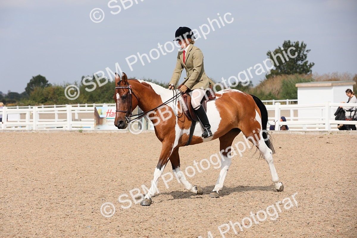 SBM_13417 - Class 308 Ridden Coloured Horse