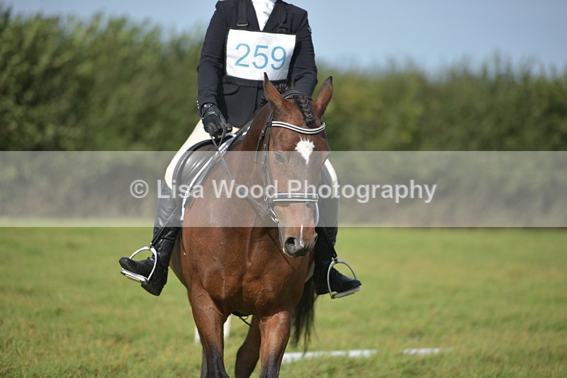 RAY_7734 - Class 2B: Trekenning Open: Dressage