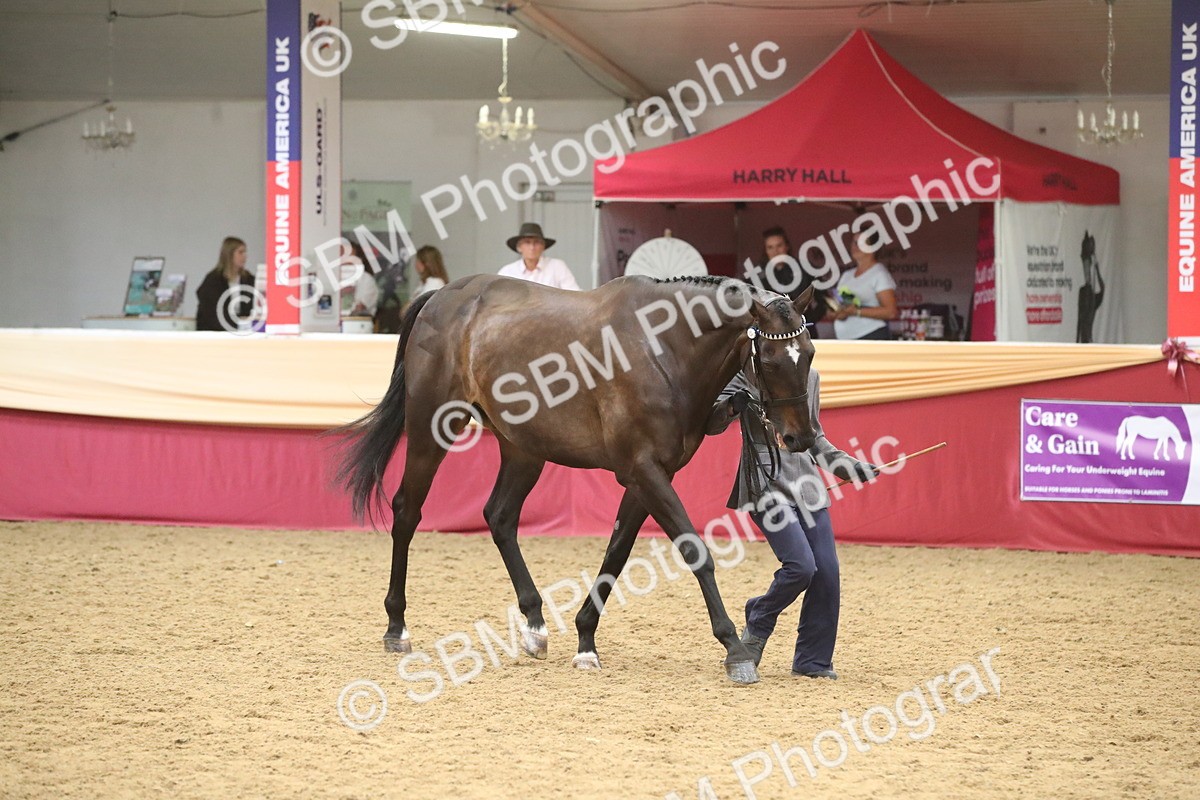 SBM_05702 - Class 9R - Regional IH Pre-Vet