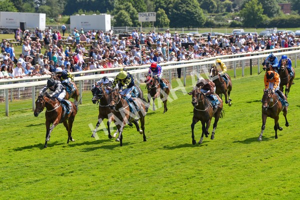 160623-Race 2-Celestial Flight-6166 - Race 2 2.25pm SKF Rous Selling Stakes