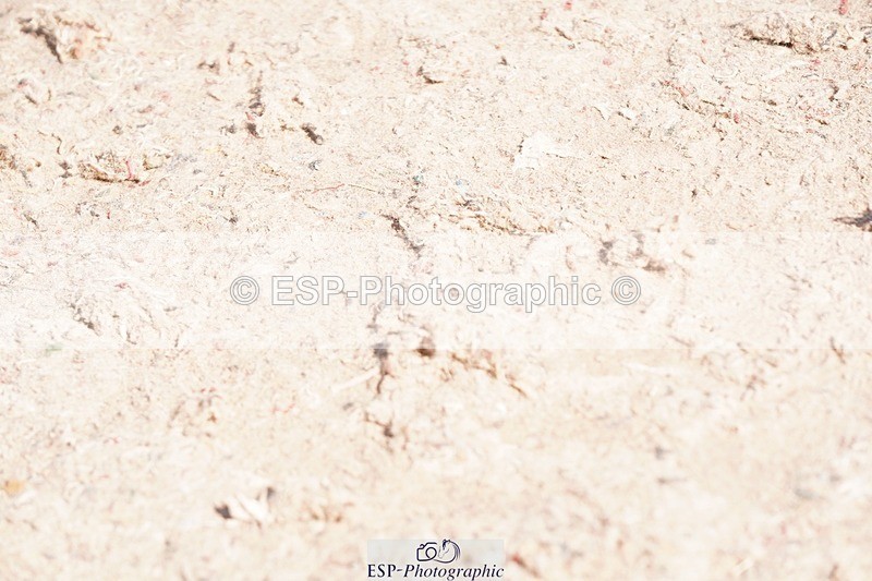 250510-094132-10104 - Cls 14 Snr 1.20m Open