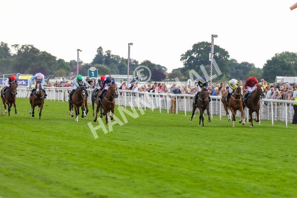 240823-Race 5-Sea Theme-5402 - Race 5 4.10pm British EBF & Sir Henry Cecil Galtres Stakes