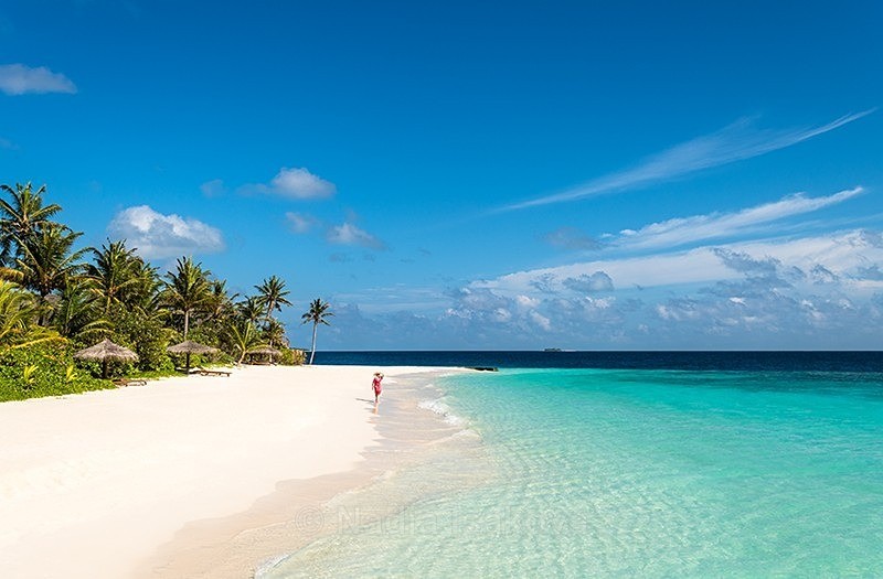  - Maldives