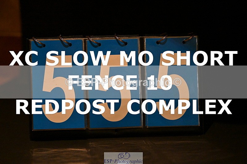 ESP_555 - G-555-Molly.Swain