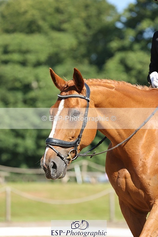 240719-094223-00234 - 264-Kate_Lewis-freeloader