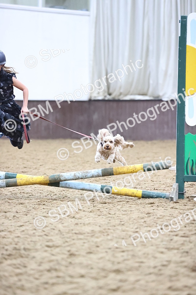 SBM_001631 - Class 3 - Horse & Hound 60cm